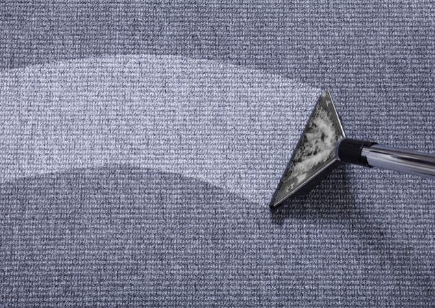 Arelli Commercial Cleaning Insight - Carpet Cleaning Service