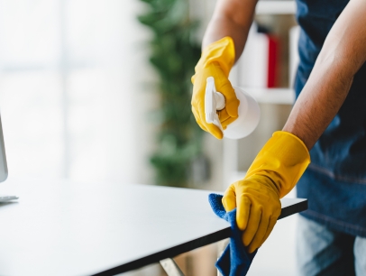 Arelli Regular Cleaning Service