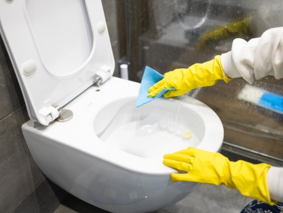 Washroom & Kitchen Deep Sanitization