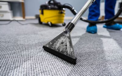 Quick Guide to Freshening Up Carpets and Upholstery in the Workplace