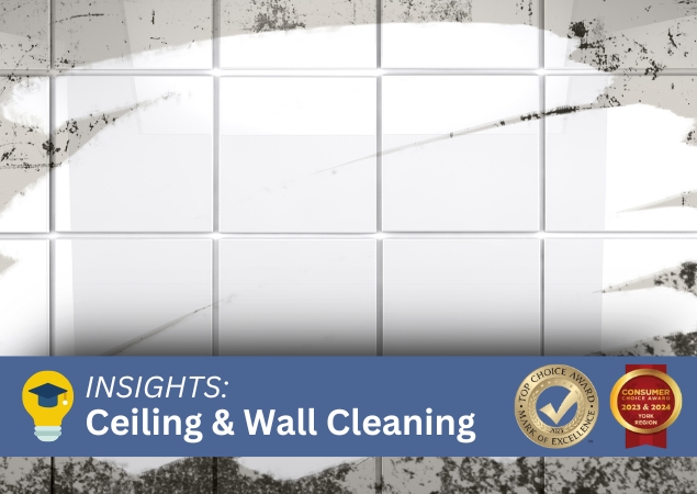 Ceiling and Wall Cleaning