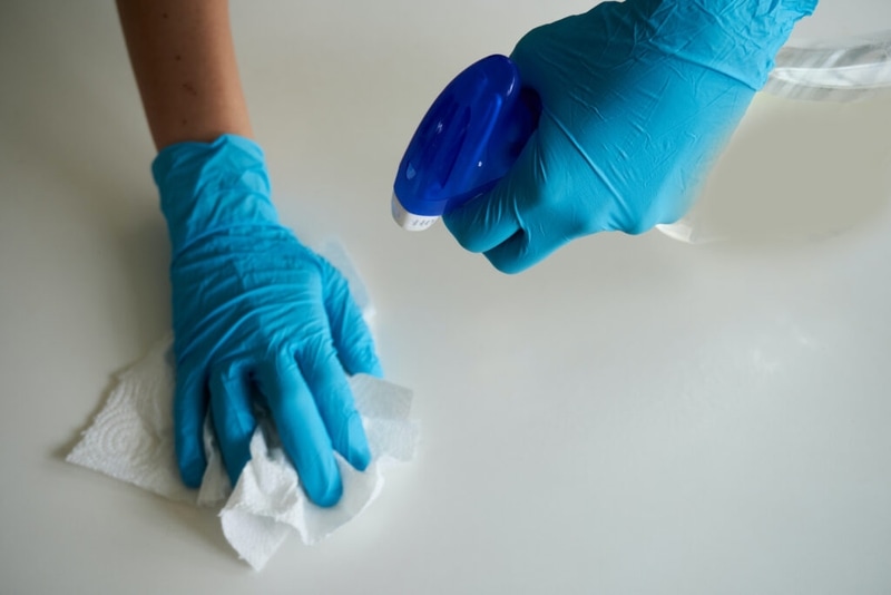 Commercial Cleaning Hamilton