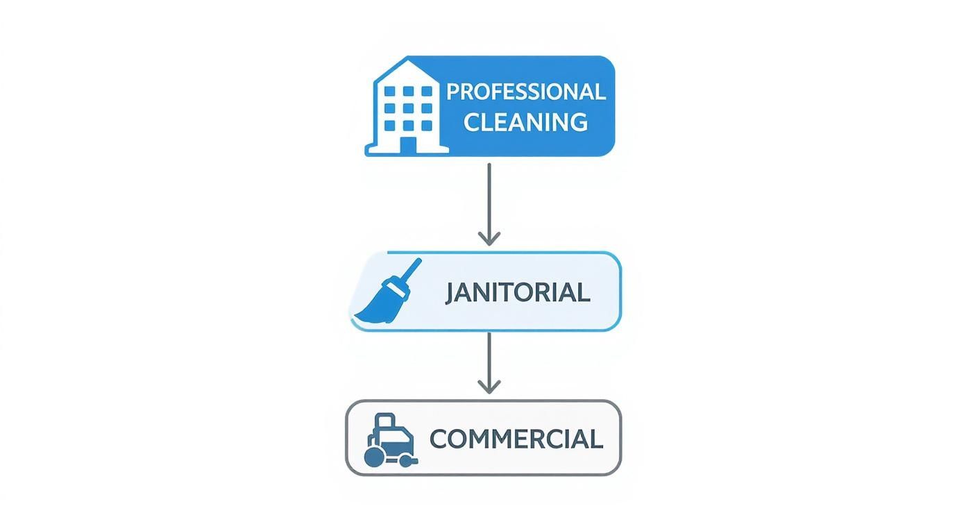 Infographic about janitorial services cleaning