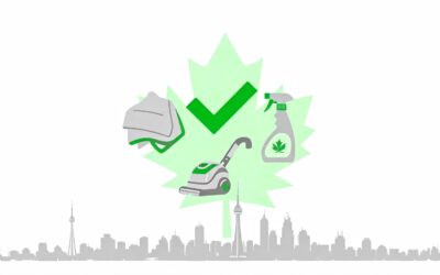 Top Green Cleaning Services Toronto: 2026 Guide